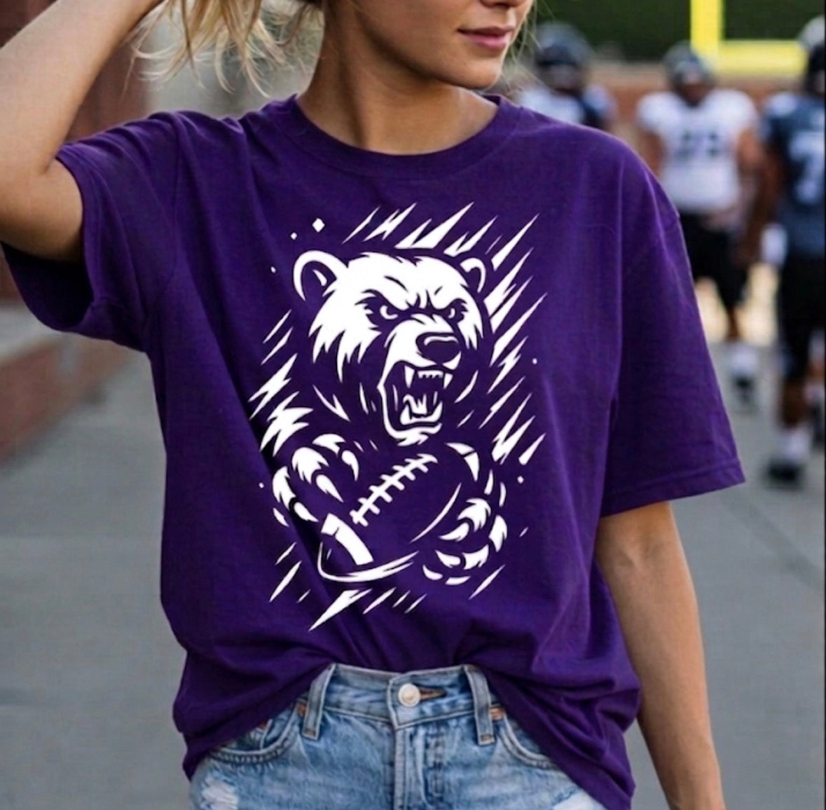 Bears Football 2