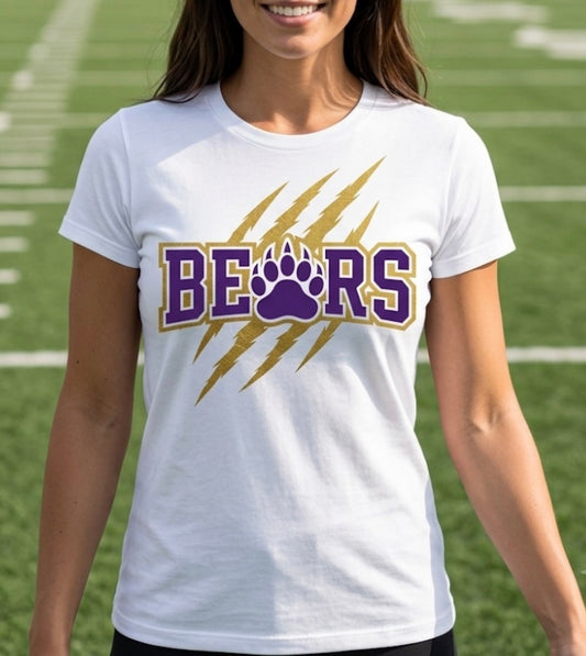 Bears Football 4