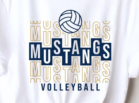 Mustangs volleyball 2