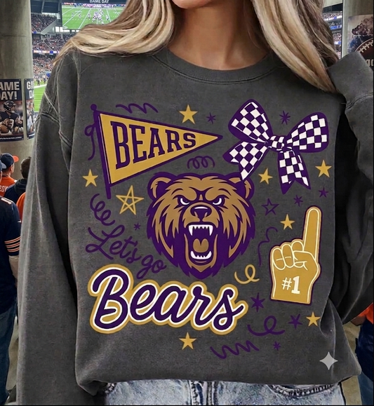 Bears Football 3