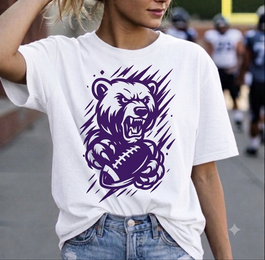 Bears Football 2